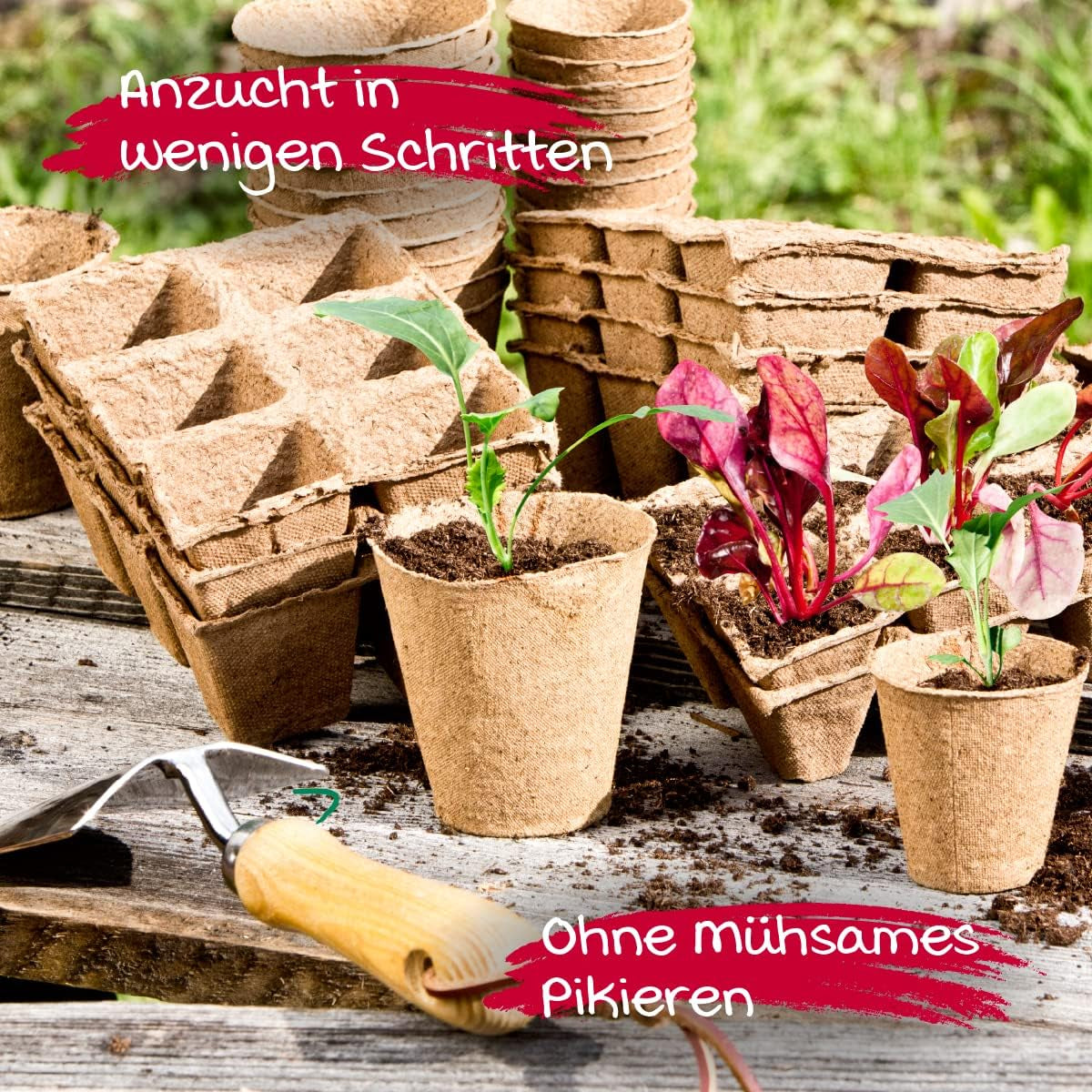 Windhager zaailingenpotten, 48 stuks, diameter 8 cm, bruin, zonder turf, 04343