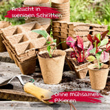 Windhager zaailingenpotten, 48 stuks, diameter 8 cm, bruin, zonder turf, 04343