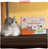 MjAMjAM - Premium natvoer voor katten - Wellness Pack Rundvlees, 12 stuks (12 x 125 g), graanvrij met extra vlees