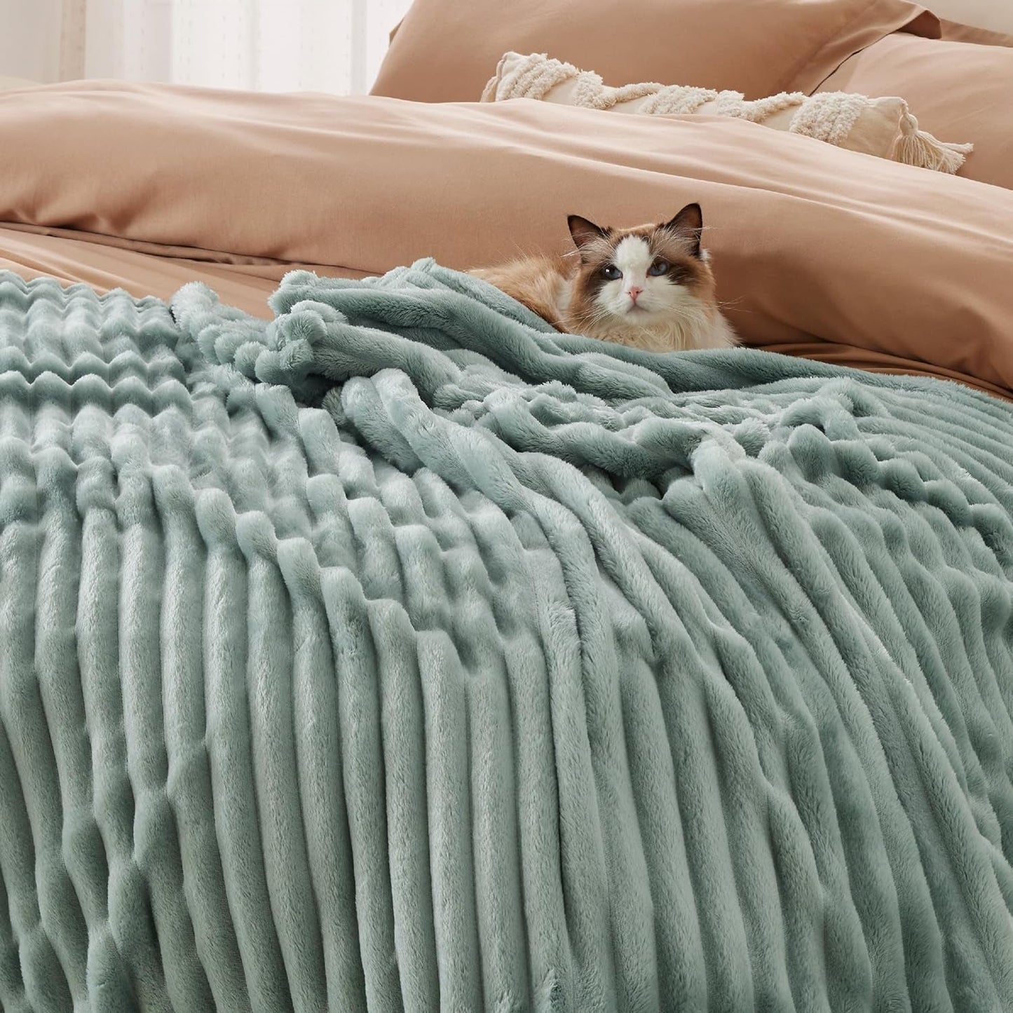 BEDSURE Saliegroene fleecedeken voor bank - Superzachte, gezellige dekens voor dames, schattige kleine deken voor meisjes, 127 x 152 cm bedden en dekens Beuche den BEDSURE-Store