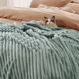 BEDSURE Saliegroene fleecedeken voor bank - Superzachte, gezellige dekens voor dames, schattige kleine deken voor meisjes, 127 x 152 cm bedden en dekens Beuche den BEDSURE-Store