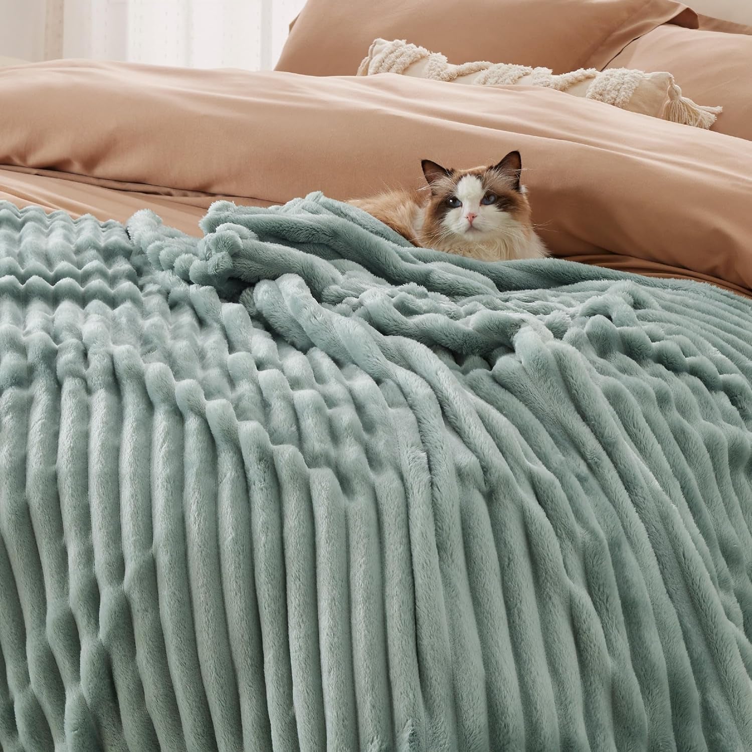 BEDSURE Saliegroene fleecedeken voor bank - Superzachte, gezellige dekens voor dames, schattige kleine deken voor meisjes, 127 x 152 cm bedden en dekens Beuche den BEDSURE-Store