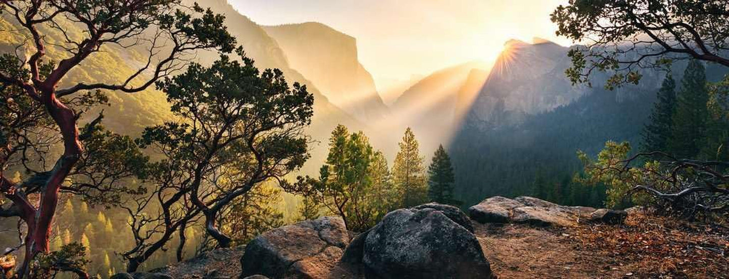 Ravensburger Puzzel 15083 - Yosemite Park - Legpuzzel van 1000 stukjes voor volwassenen en kinderen vanaf 14 jaar in panoramisch formaat Puzzel Naty Shop