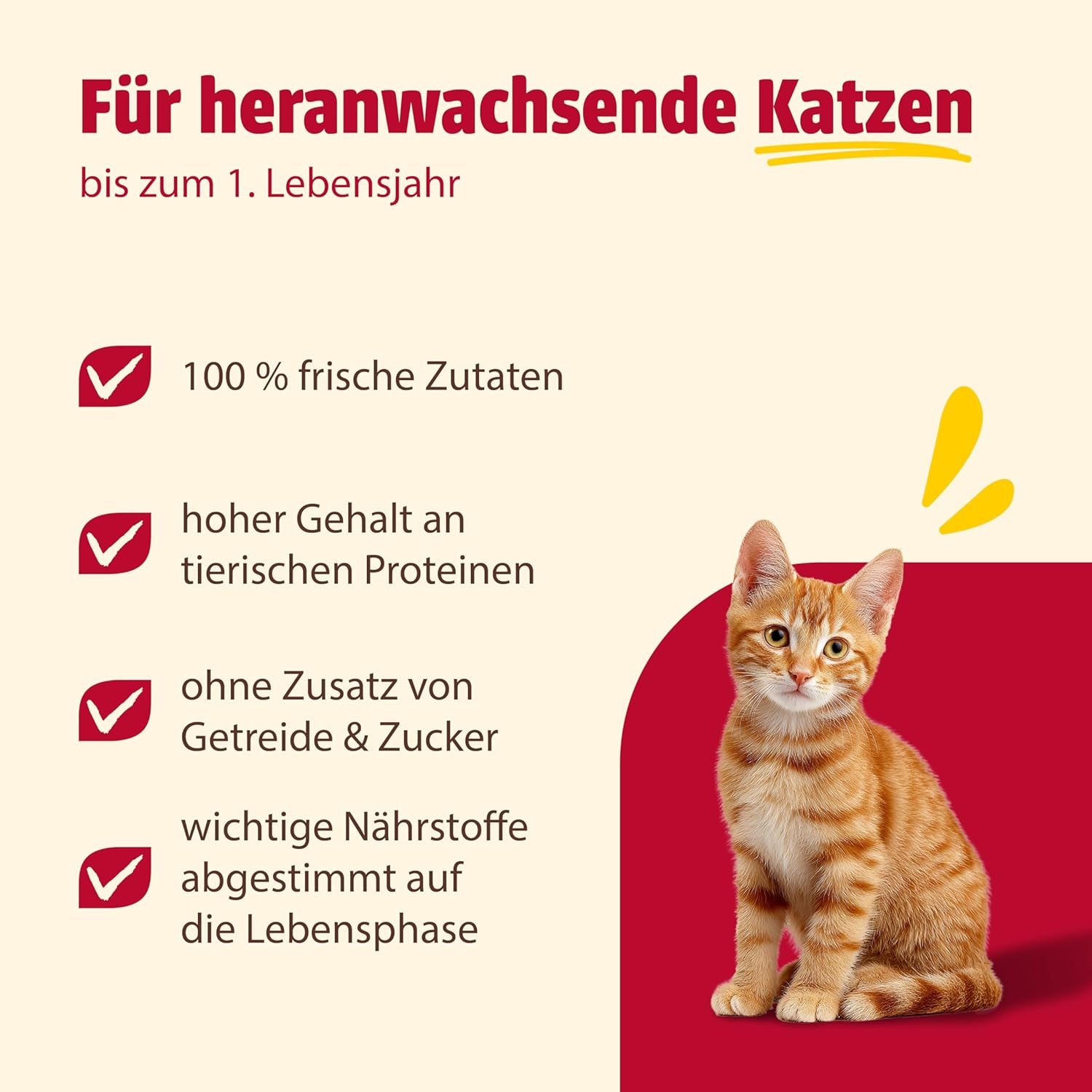 animonda Carny Katzen Nassfutter Kitten Kip + Pute (12 x 400g), Kitten getreidefreies Katzennassfutter ohne Zucker für wachsende Kätzchen bis 1 Jahr, mit frischen Ingrediënt