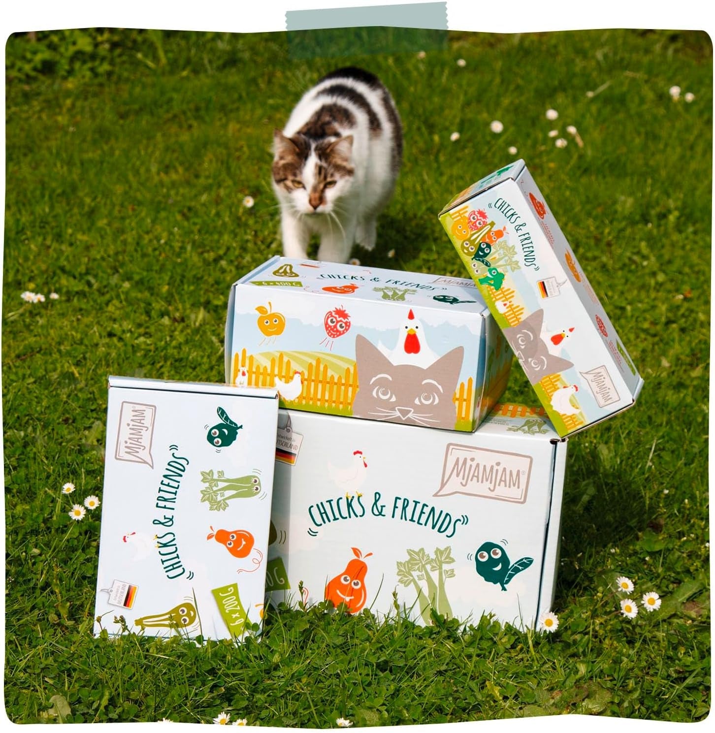 MjAMjAM - Premium Nassfutter für Katzen - Chicks & Friends Box, 9er Pack (9 x 300g), ontvangvrij met extra Fleisch
