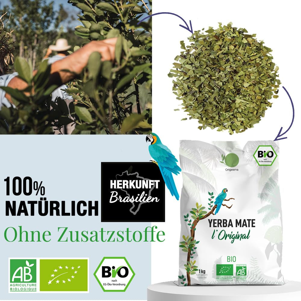 ORIGEENS BIO YERBA MATE THEE 1 KG - The Original I Ongebrand, bladeren, zonder stengels, stof en kruimels I Energieke en ontgiftende drank