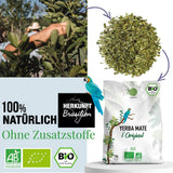 ORIGEENS BIO YERBA MATE THEE 1 KG - The Original I Ongebrand, bladeren, zonder stengels, stof en kruimels I Energieke en ontgiftende drank