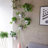 Virgo zelfwatergevende muurpotten (set van 6) - eenvoudig water te geven en te installeren - lichtgewicht - creëer uw eigen verticale tuin - muurpotten voor kamerplanten