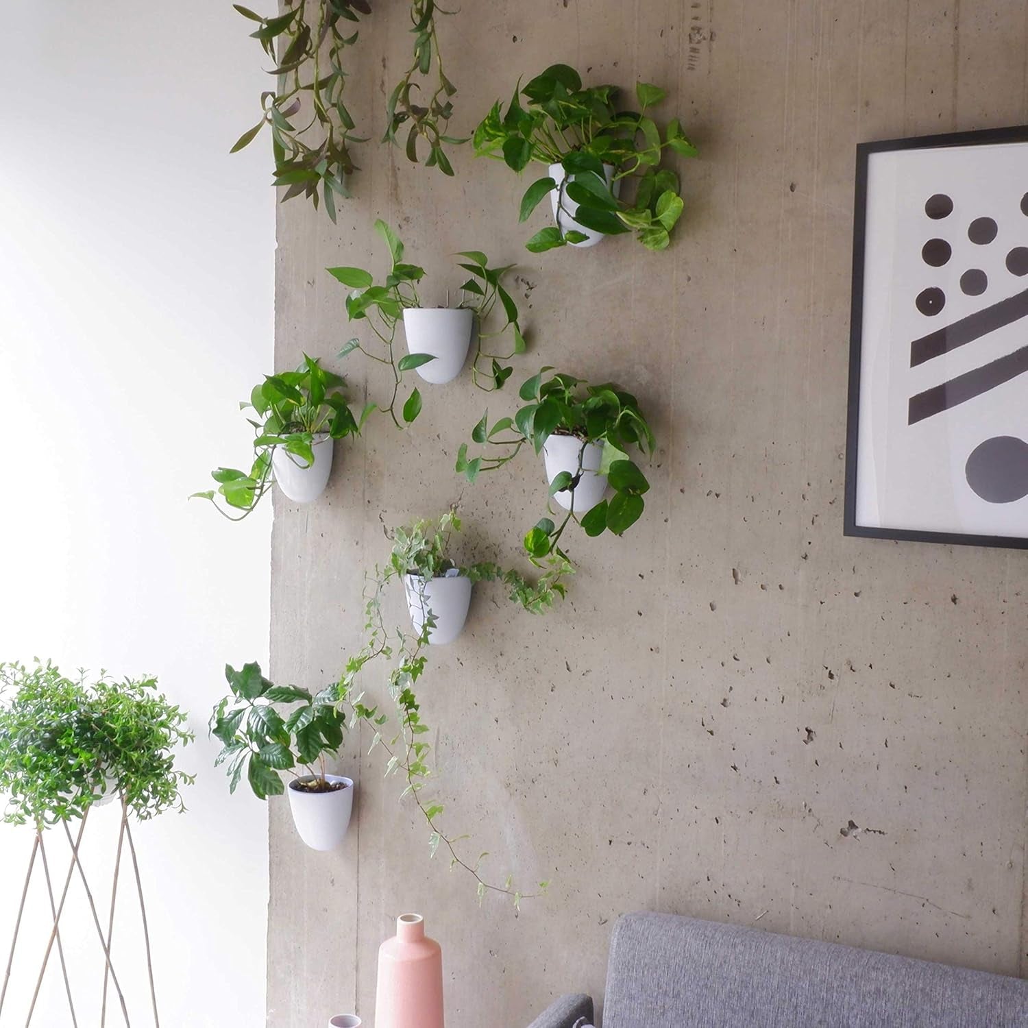 Virgo zelfwatergevende muurpotten (set van 6) - eenvoudig water te geven en te installeren - lichtgewicht - creëer uw eigen verticale tuin - muurpotten voor kamerplanten