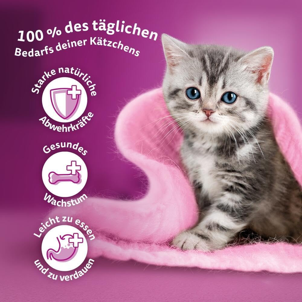 WHISKAS Junior natvoerzakjes, multipack, selectie van gevogeltevlees in gelei, 12 x 85 g