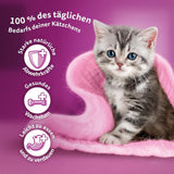 WHISKAS Junior natvoerzakjes, multipack, selectie van gevogeltevlees in gelei, 12 x 85 g