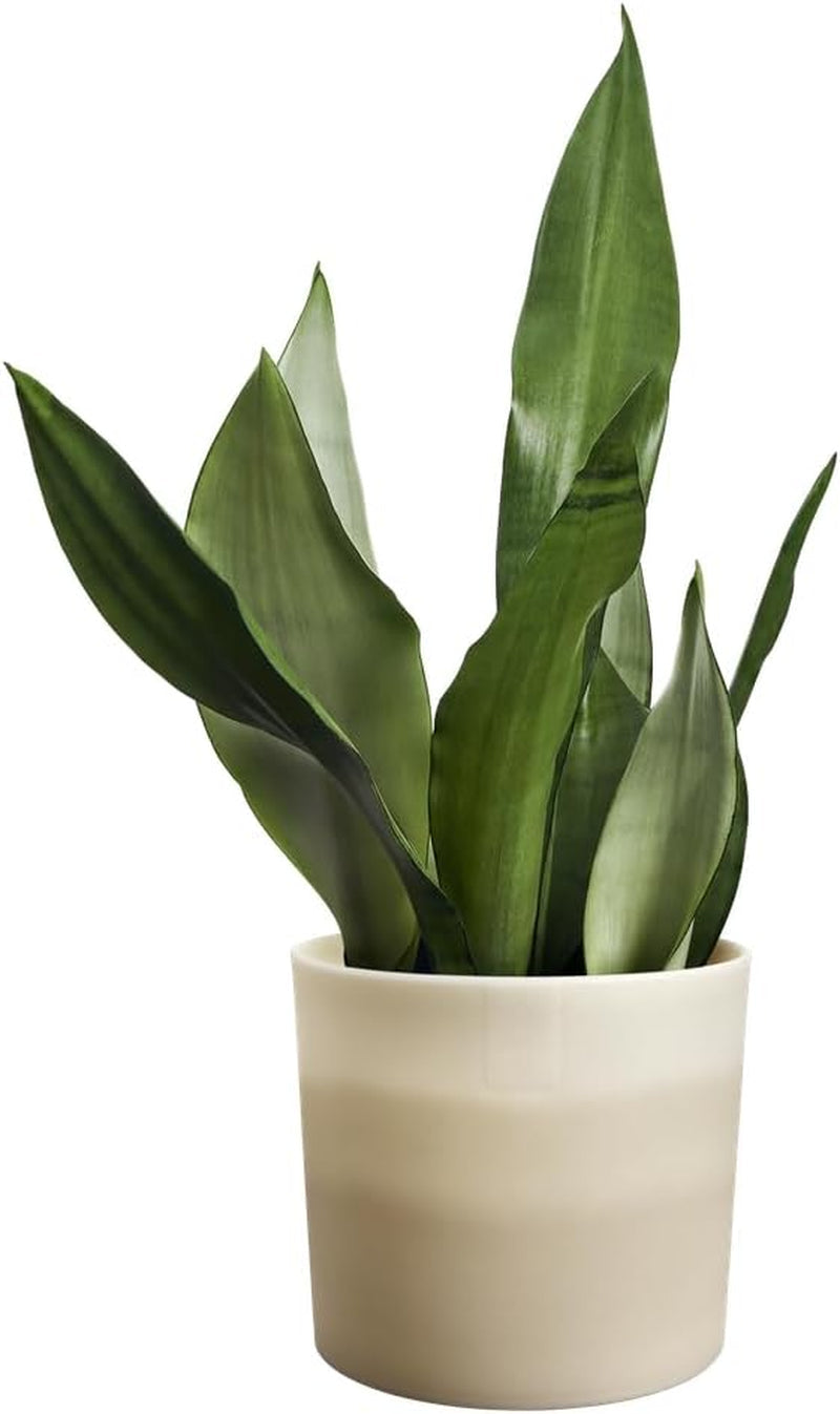 Ronde pot elho Kleurverloop 18cm - Bloempotten voor binnen - 100% gerecycled plastic - Ø 18,2 x H 16,8 - Beige/Beige Zandsteen