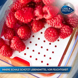 CARE + PROTECT Slimme voedselcontainer, perfect stapelbaar, koelkastorganizer, beschermt voedsel tegen vocht, houdt voedsel langer vers, 2,15 l Voedselbewaardozen Naty Shop