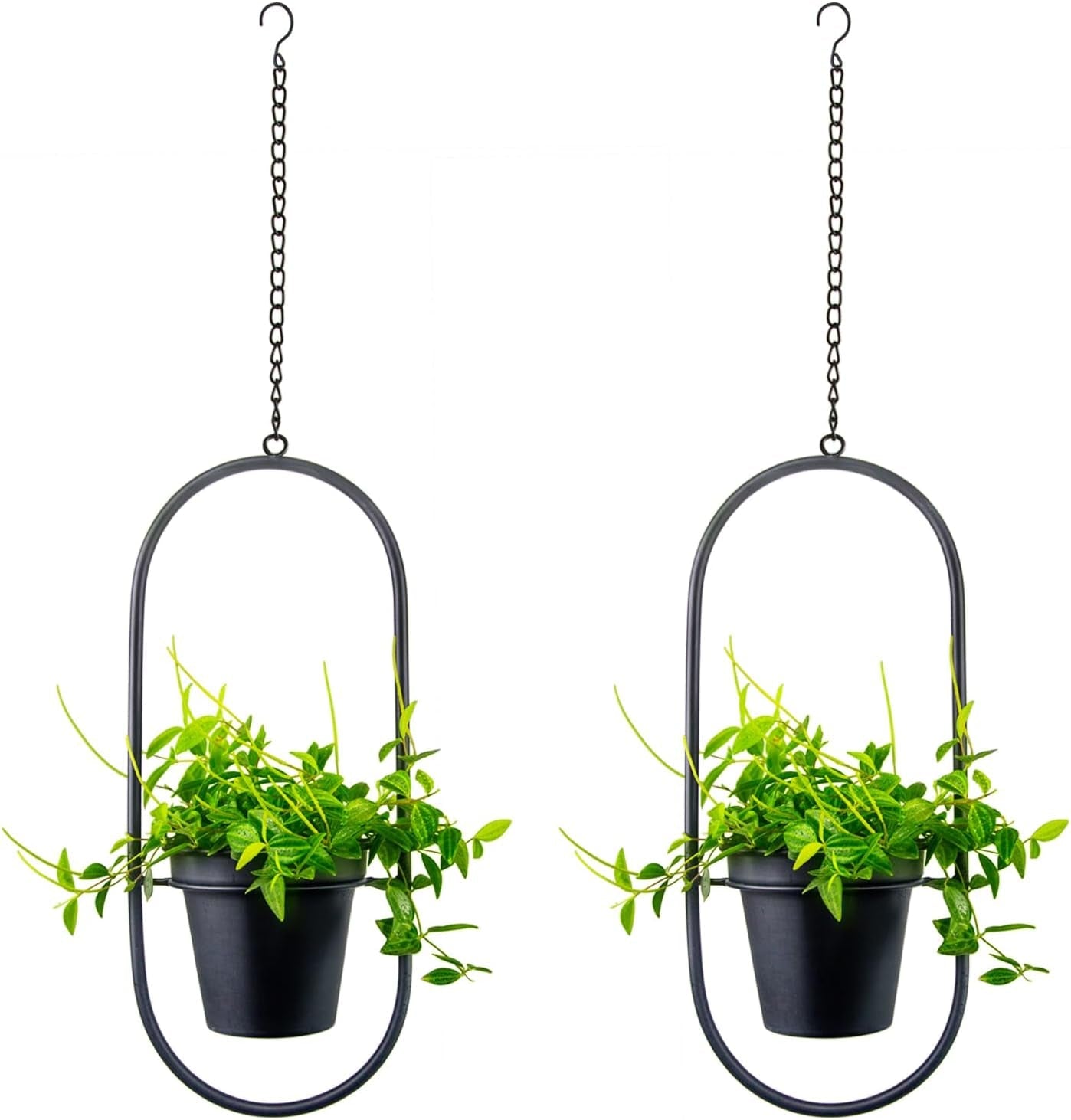 Hangende metalen bloempotten, 2 stuks, zwarte ovale geometrische plantenhanger met potten, moderne wand- en plafondplantenbak, binnen buiten, 15,2 cm, bloempotten, 2 stuks