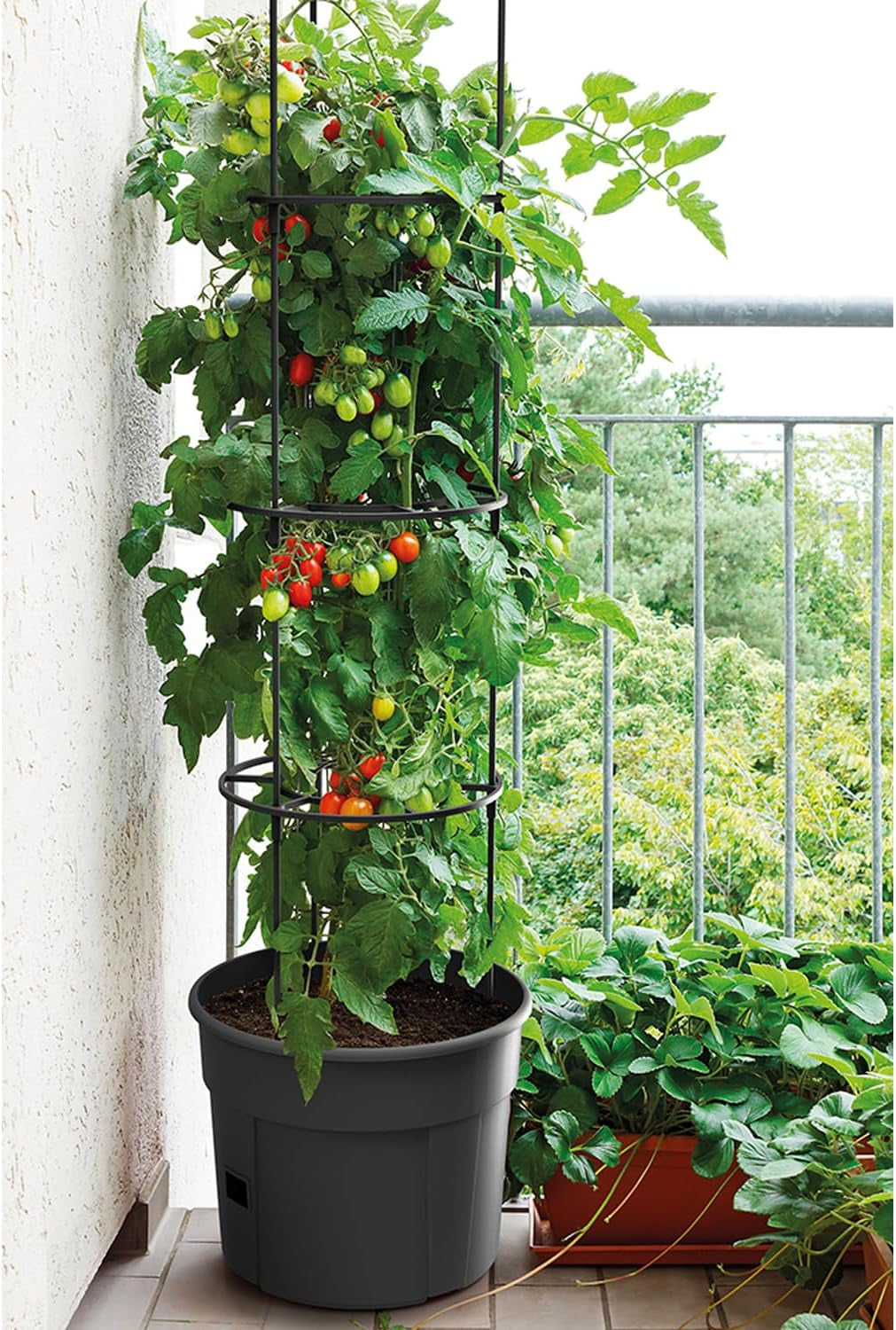 Prosperplast tomatenzaailingenpotten met traliewerk – Stevige kunststof plantenbak | Antraciet | Weer- en UV-bestendig | 29,5 x 115,2cm | Ideaal voor de tuin en terras