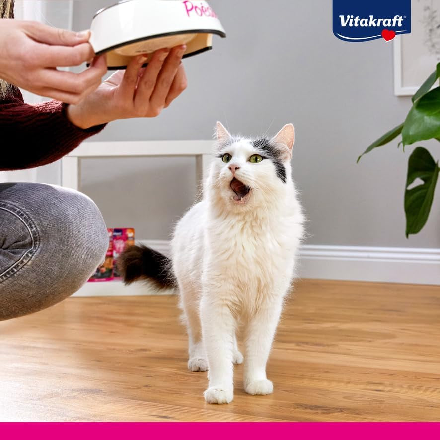 Vitakraft Poésie Création, nat kattenvoer, nat kattenvoer in saus, met kalkoen in kaassaus, multipack, geen toegevoegde suiker of granen (15 x 85g)