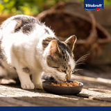 Vitakraft Poésie Création, nat kattenvoer, natvoer in saus, met rundvlees en wortel, grootverpakking, zonder toegevoegde suiker of granen (15 x 85 g)