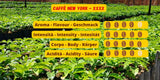 Caffè New York - XXXX - Koffie met hele bonen - 1000g