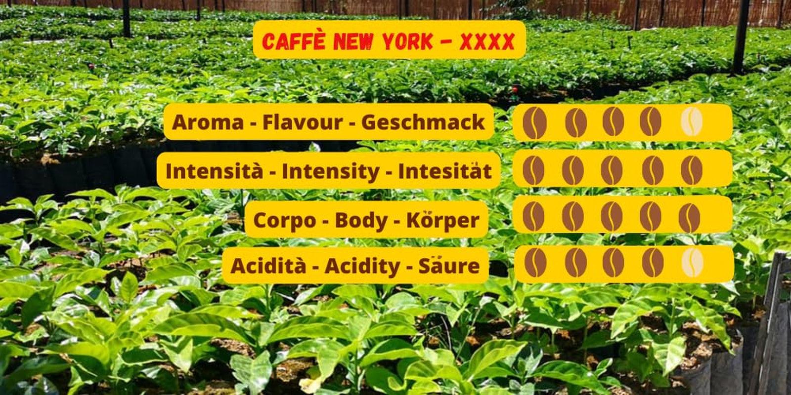 Caffè New York - XXXX - Koffie met hele bonen - 1000g