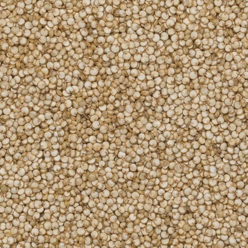 Wholefood Earth biologische quinoakorrels – 2kg | Wreed | Niet-GMO | Veganistisch | Rijk aan vezels | Gecertificeerd biologisch