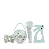 Suavinex cadeauset voor pasgeborenen. 4-delige set bestaande uit: Fysiologische SX Pro fopspeen voor baby's 0-6 maanden + speenhouder + Duo speenhoesje + siliconen bijtring. Wonderland, beige