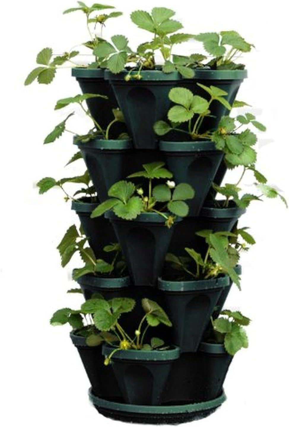 Verticale stapelbare plantenbak met 5 niveaus voor aardbeien, kruiden, bloemen en groenten voor binnen- en buitentuin.