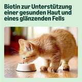 Amazon Mixed Selection Natvoer voor jonge katten in gelei 1,2 kg (12 zakjes van 100 g)