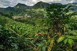 100% natuurlijke Arabica-koffiebonen 1 kg – intens gebrande espressokoffie met een mix van Colombiaanse en Braziliaanse afkomst – Fair Trade.