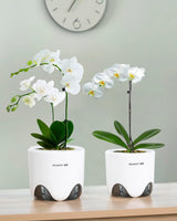Orchideebloempot met drainagegaten voor verplanten, uitstekende luchtcirculatie, 2 stuks, dubbellaags plastic, keramische orchideeënplanter, transparante orchideebloempot, decoratief