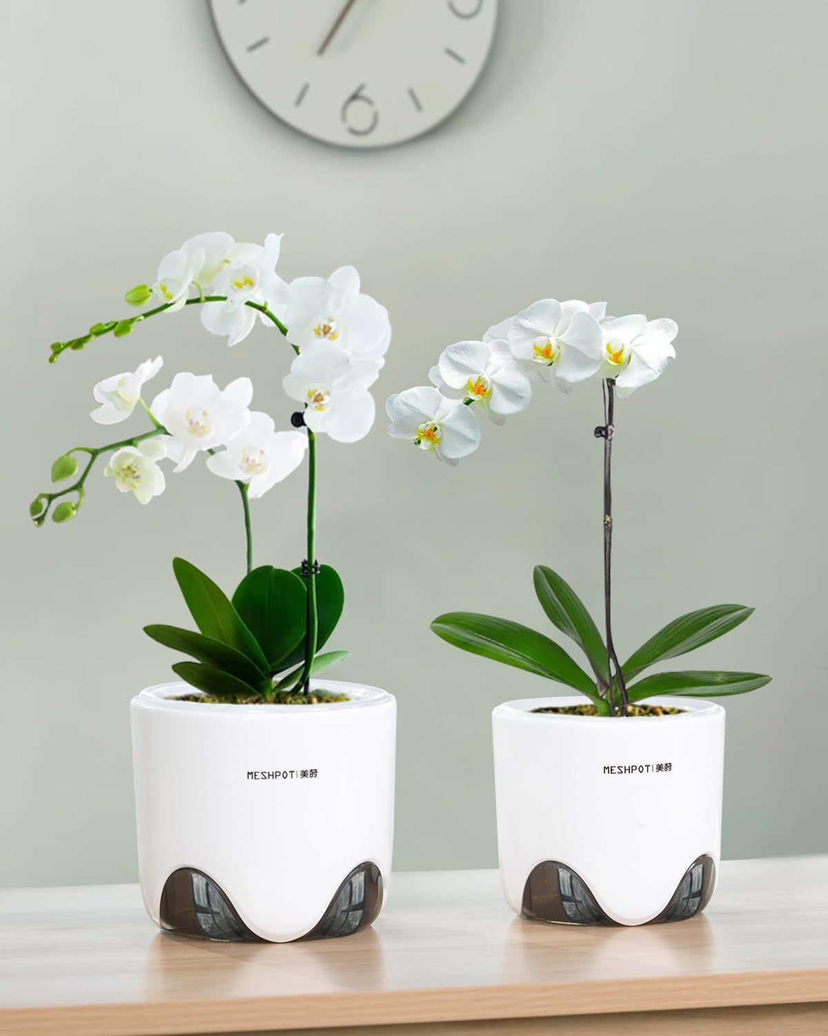 Orchideebloempot met drainagegaten voor verplanten, uitstekende luchtcirculatie, 2 stuks, dubbellaags plastic, keramische orchideeënplanter, transparante orchideebloempot, decoratief