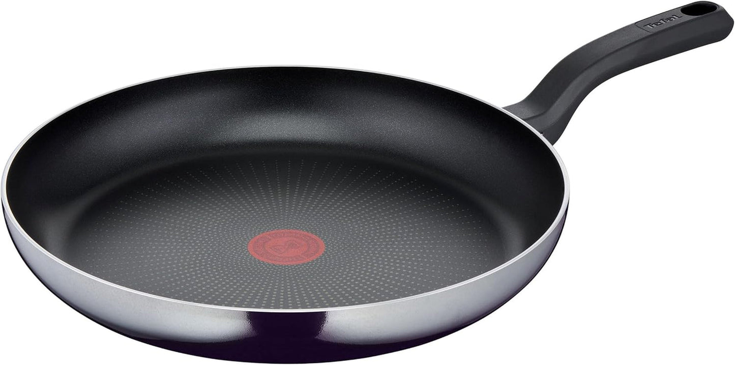 Tefal D52606 Resist, titanium antiaanbaklaag Potten en pannen Naty Shop 32 Cm