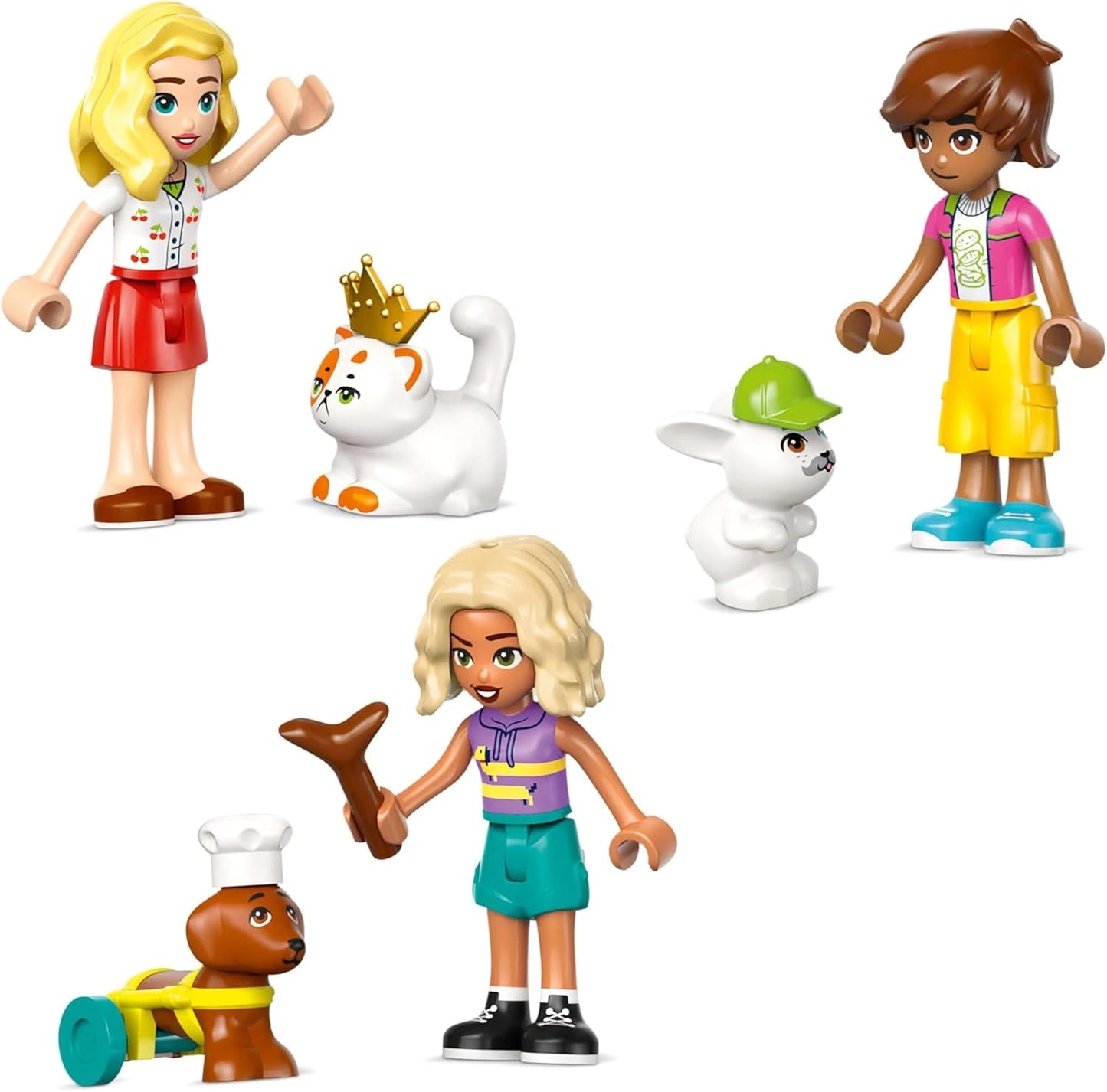 LEGO Friends Dierenaccessoireswinkel Fantasiespelset Educatief speelgoed voor meisjes van 6 jaar oud 3 minifiguren en 3 dierenfiguren Kat Hond Konijntje Cadeau-idee voor kinderen 42650 Bouwsets Besuche in LEGO-Store
