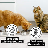 Natvoer voor katten Catz Finefood Purrrr Schaap Monoproteïne nr. 113, voor katten met een gevoelige spijsvertering, 70% vleesgehalte, 16 zakjes à 85 g