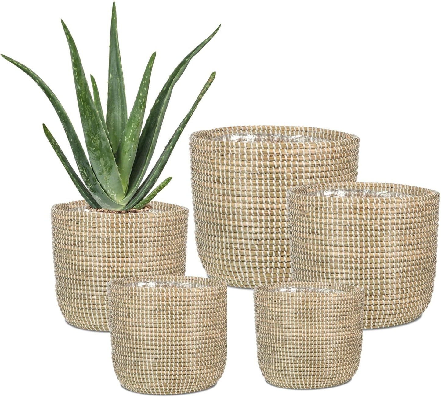 Scheurich Seagrass 17, mandpot/zeegrasmandpot, kleur: Wit, diameter 17 cm, hoogte 16 cm, inhoud 3,5 l.