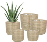 Scheurich Seagrass 17, mandpot/zeegrasmandpot, kleur: Wit, diameter 17 cm, hoogte 16 cm, inhoud 3,5 l.