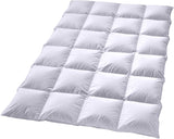 Donzen dekbed Billerbeck Martina® - Dekbed 135 X 200 Cm - Dekbed voor alle seizoenen - Geschikt voor mensen met een allergie - 90% ganzendons, 10% ganzenveren - Witte dekbedden en dekbedden Naty Shop