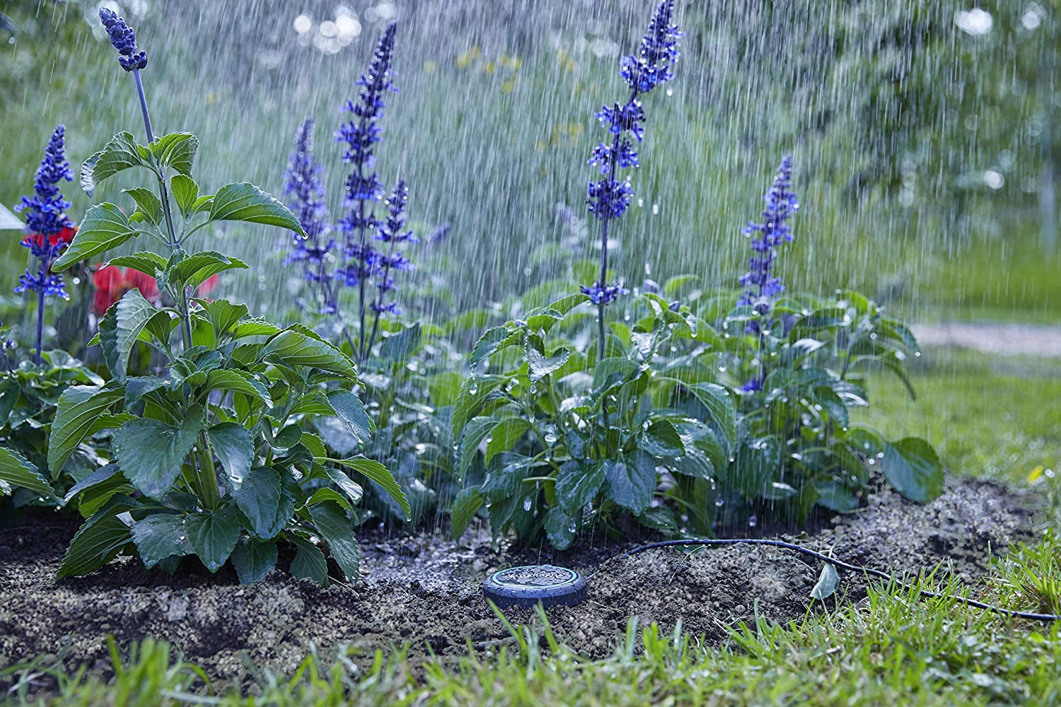 Gardena verlengkabel (10 m) voor regensensor en bodemvochtsensor, aansluitkabel met Easy Click systeem, verlengbaar tot 105 m, voor boven- en ondergronds gebruik (01868-20)