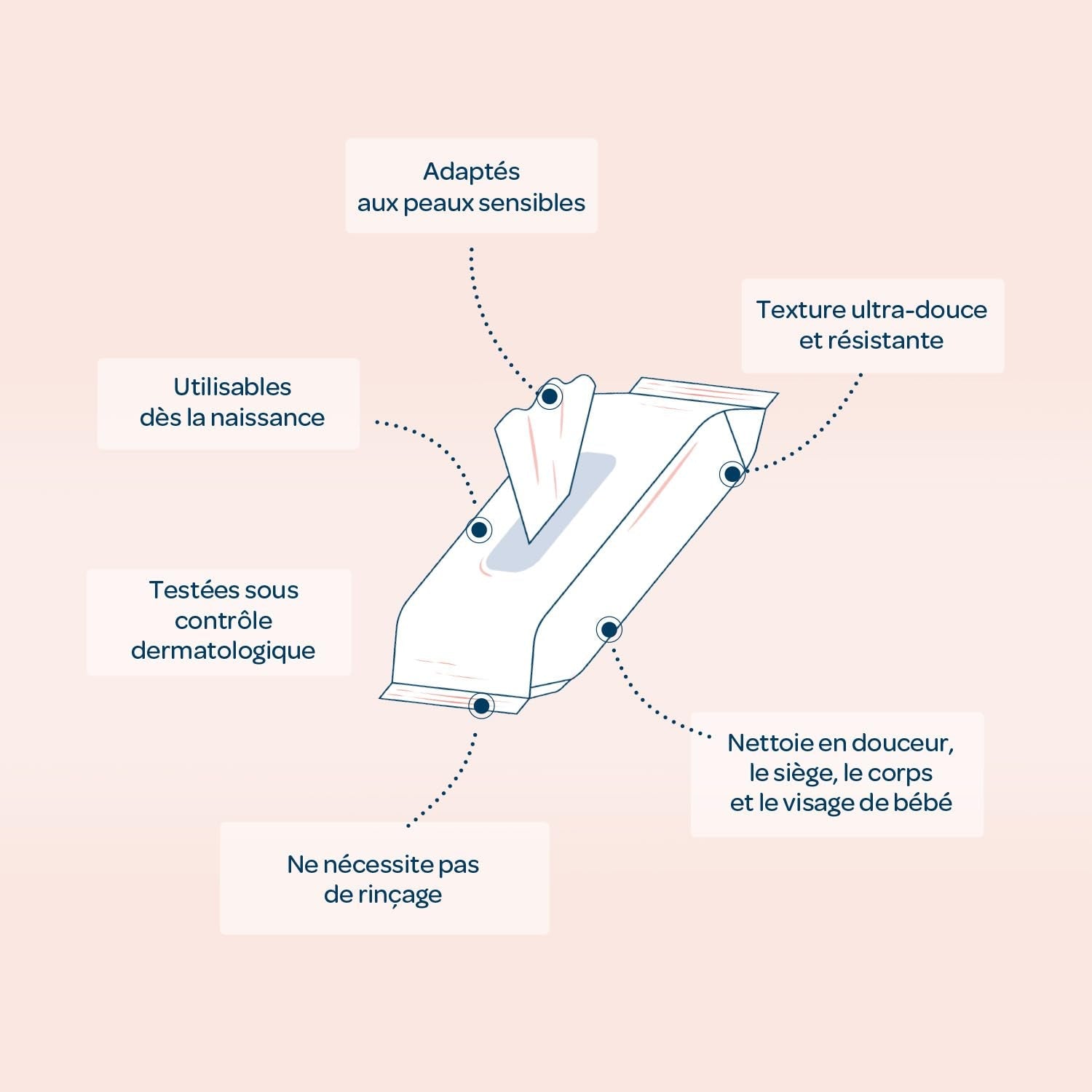 BIOLANE - Pak van 12 - Babydoekjes met toiletmelk - Baby's - 864 Babydoekjes - Reinigt en hydrateert - Voor de gevoelige huid - 98% natuurlijke oorsprong - Vanaf de geboorte
