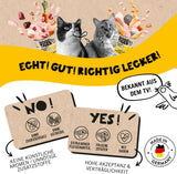 Dogs'n Tiger Schlemmermenü Glückskind, Nassfutter für Kätzchen, saftiges Hun und Forelle - ohne Getreide, Zuckerzusatz, künstliche Konservierungsstoffe, optimale Verträglichkeit, 12x 200g