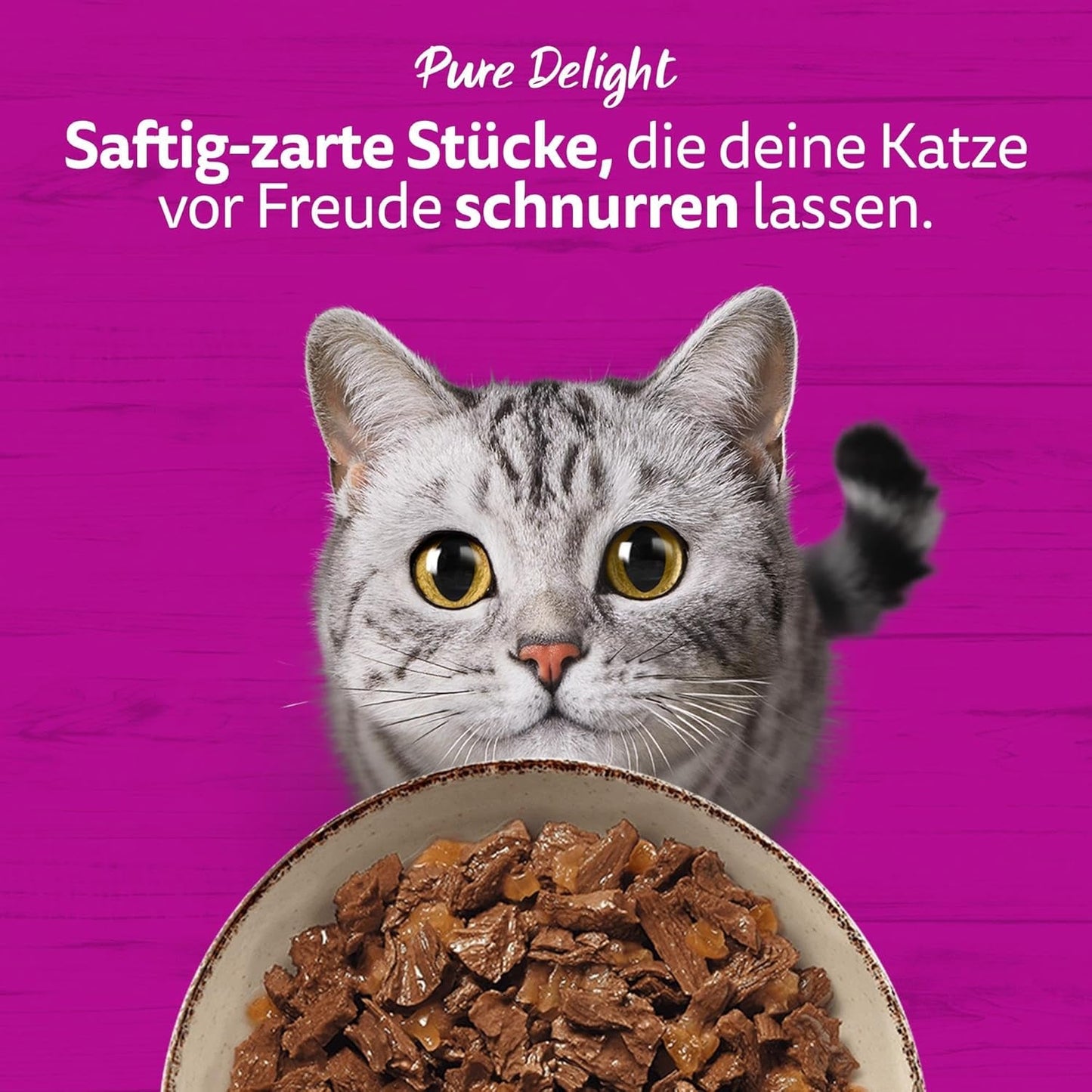 WHISKAS PURE DELIGHT Natvoer in gelei 24 x 85 g Klassieke Ragout (4 pakjes) 48 geportioneerde zakjes