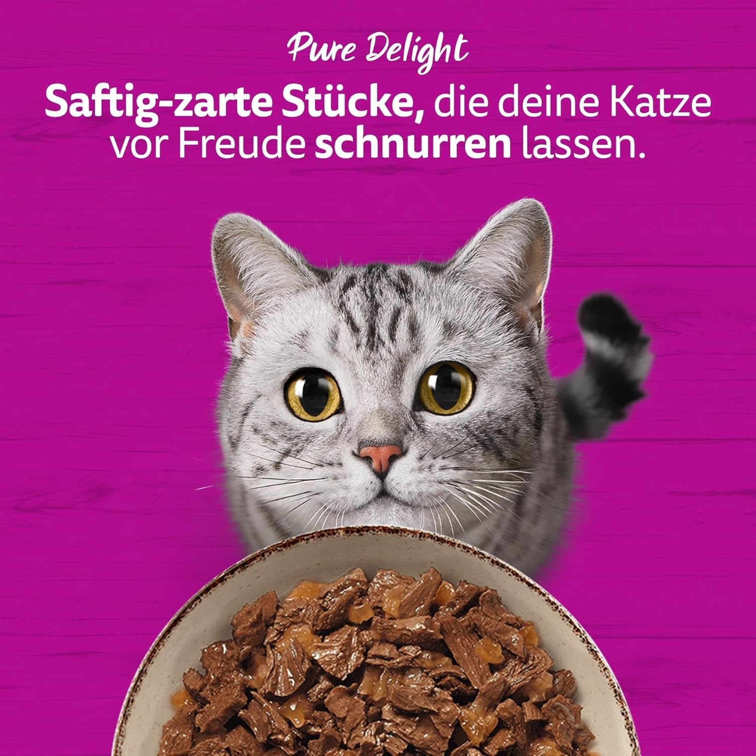 WHISKAS PURE DELIGHT Natvoer in gelei 24 x 85 g Klassieke Ragout (4 pakjes) 48 geportioneerde zakjes