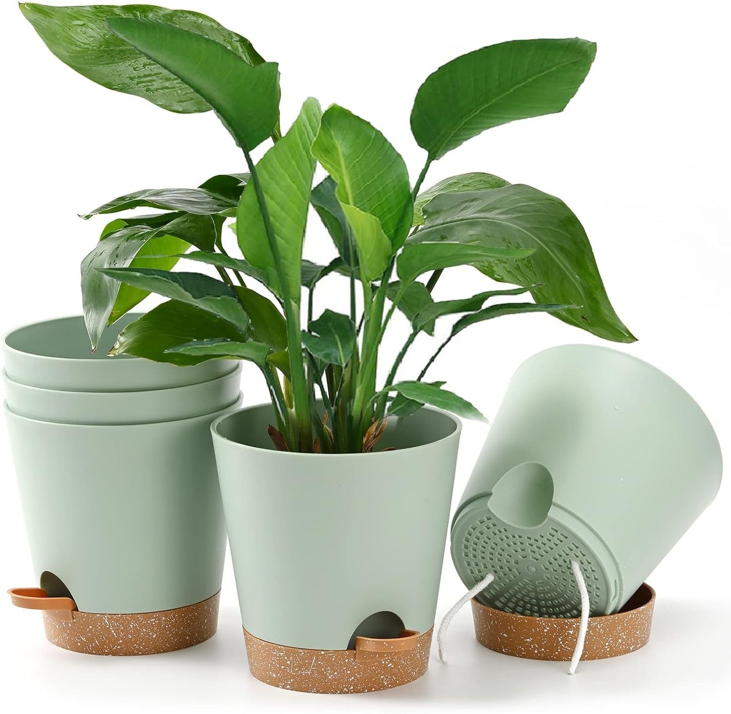 Bloempot 6 stuks 12,7 cm zelfwater gevende plantenbak hoge drainage binnen buiten bloempot met reservoirbak en gietrand tuin plantenbak tuin