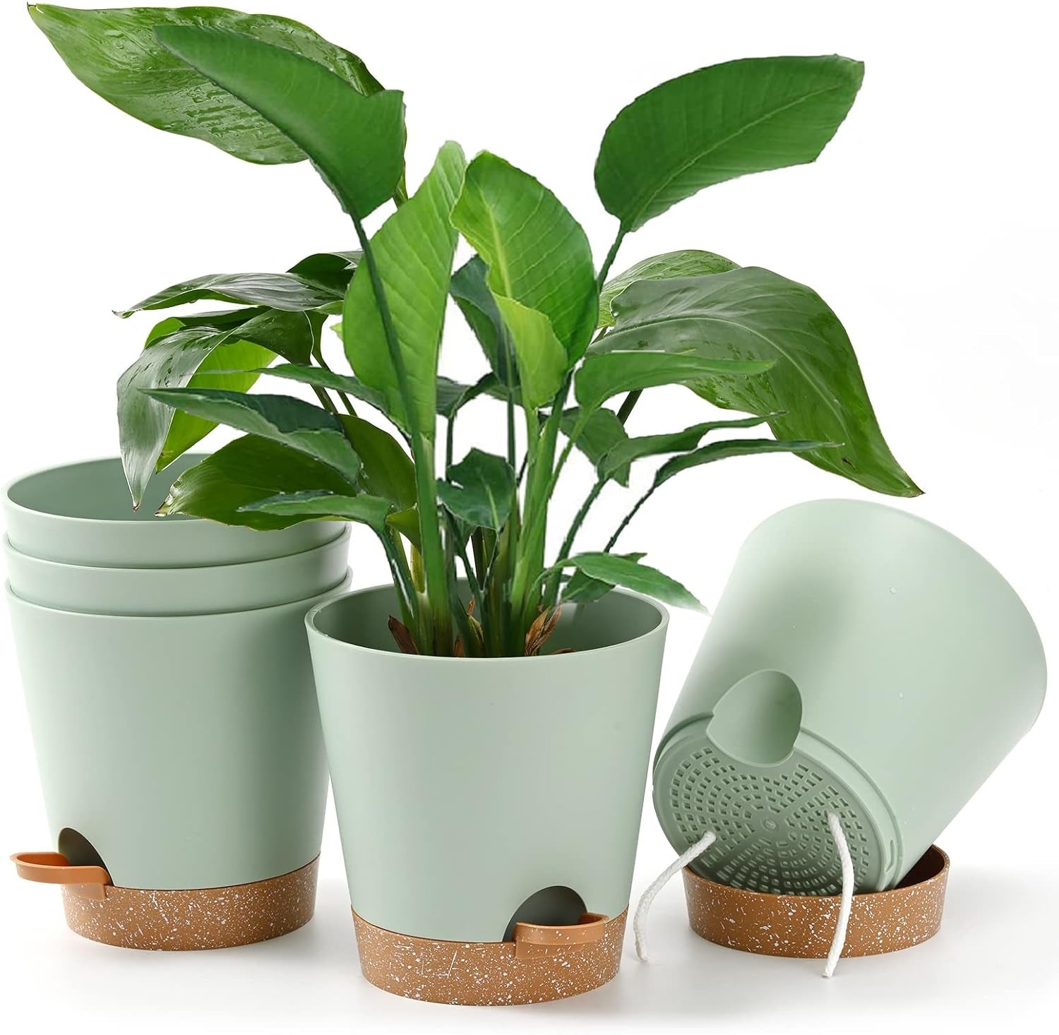 Bloempot 6 stuks 12,7 cm zelfwater gevende plantenbak hoge drainage binnen buiten bloempot met reservoirbak en gietrand tuin plantenbak tuin