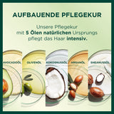 Garnier Nutrisse Permanente verzorging haarkleuring met voedende fruitoliën, 8 weken hold, Ultra Crème Tint, 036 Black Cherry (pak van 2) Naty Shop haarkleuring