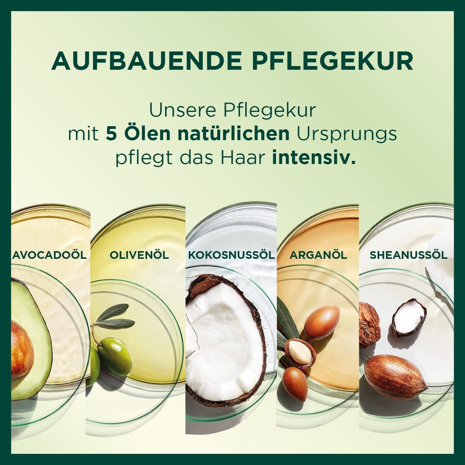 Garnier Nutrisse Permanente Verzorging Haarkleuring met Voedende Fruitoliën 8 Week Hold Kleur Ultra Crème Tint 053 Fluweelbruin (Pack van 3) Naty Shop Haarkleuring