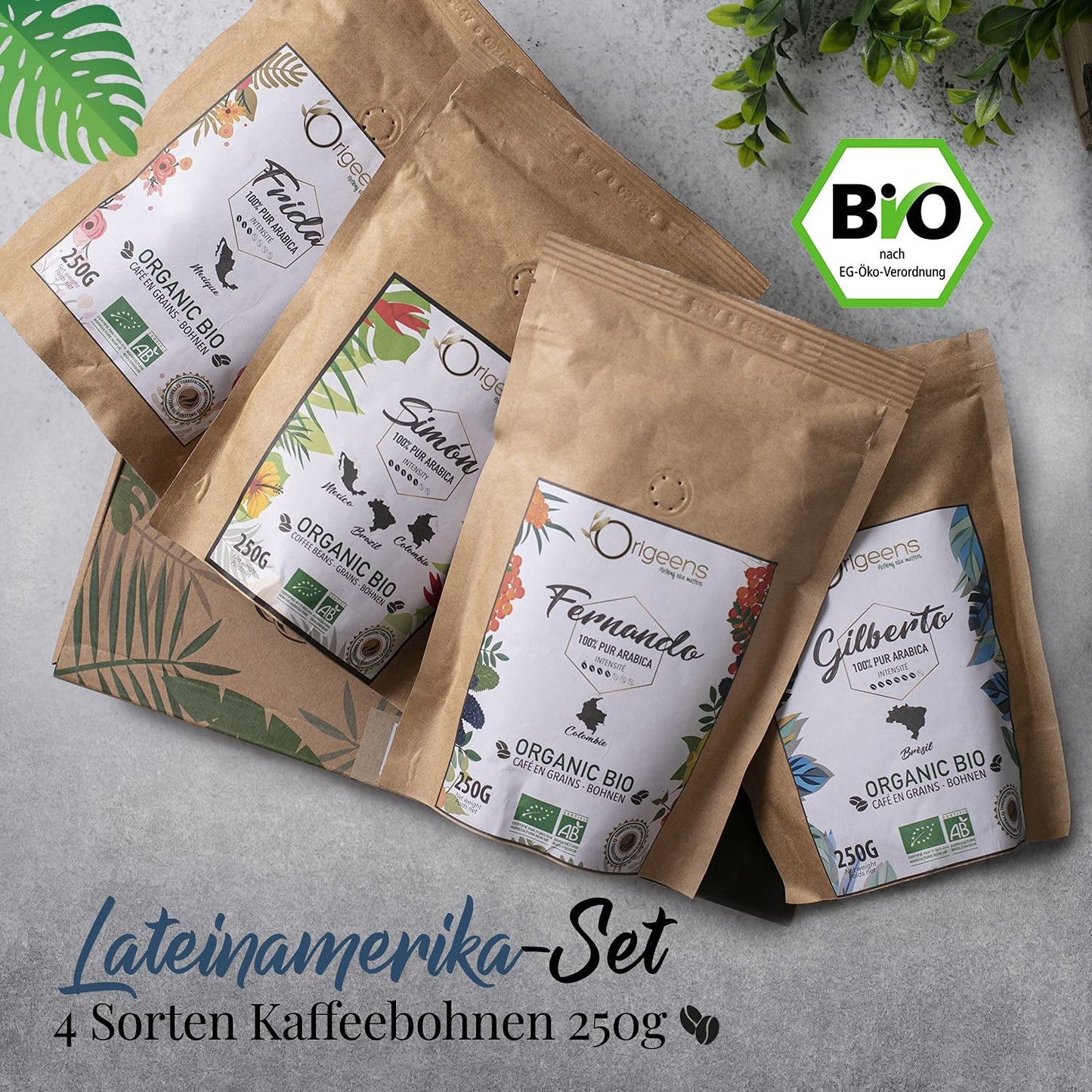 ORIGEENS Bio Kaffeebohnen Probierset 1kg | Premium Bio Arabica Kaffee Ganze Bohnen Set 4x250g | Traditionele Röstung | Kaffee Geschenkset