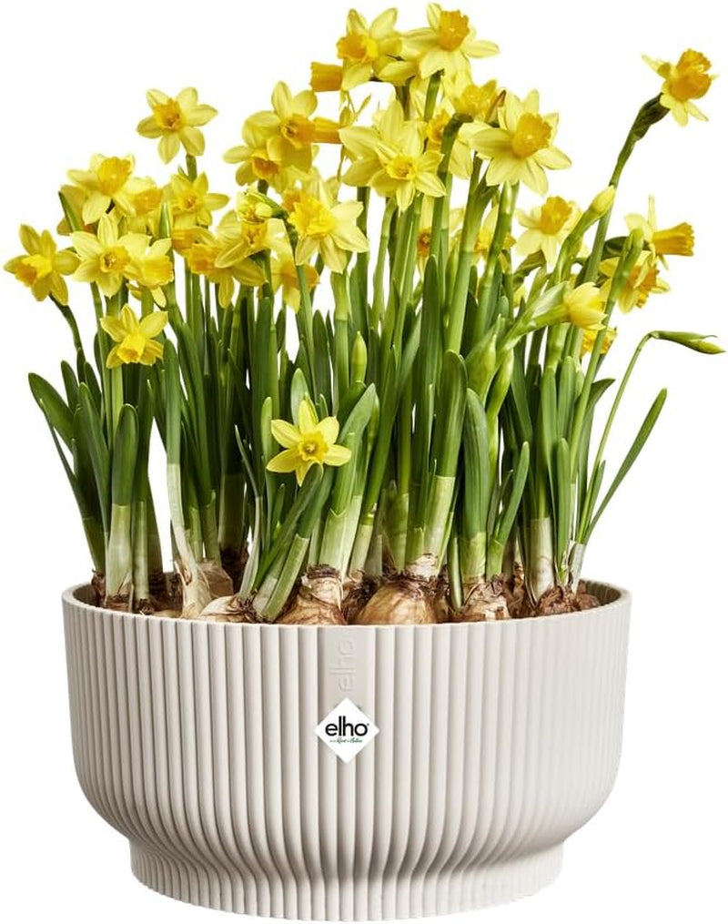 elho Vibes Fold Bowl 25 - Bloempotten voor binnen - 100% gerecycled plastic - Ø 24,9 x H 12,1 cm - Wit/Wit linnen