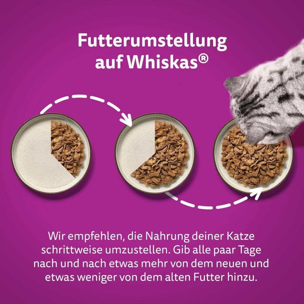 Whiskas 1+ natvoer voor katten met kip in gelei, 28x85g (1 pakje) - Hoogwaardig natvoer voor volwassen katten in 28 zakjes