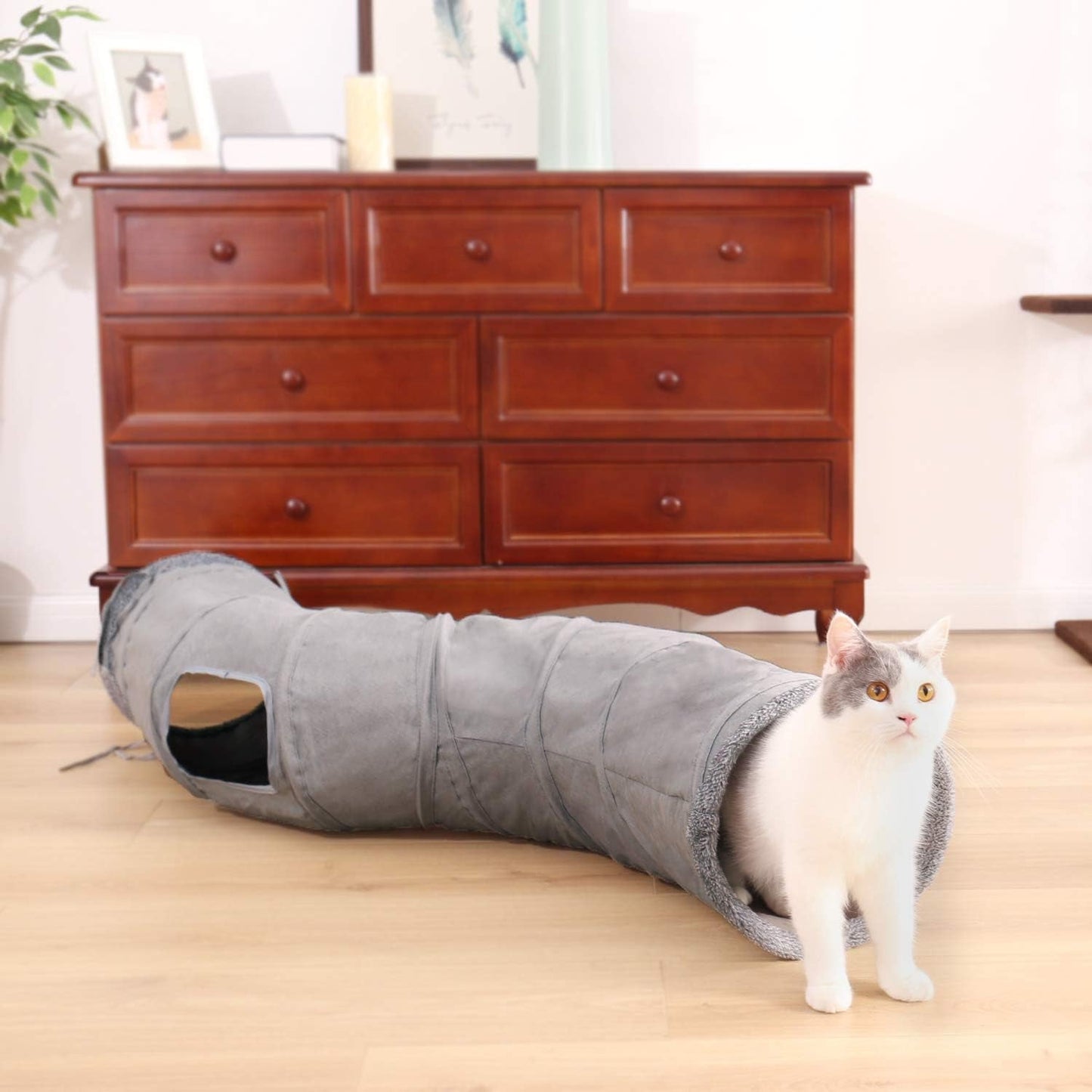 Huisdier, katten, katten - bedden, matrassen, speelgoed, tunnels