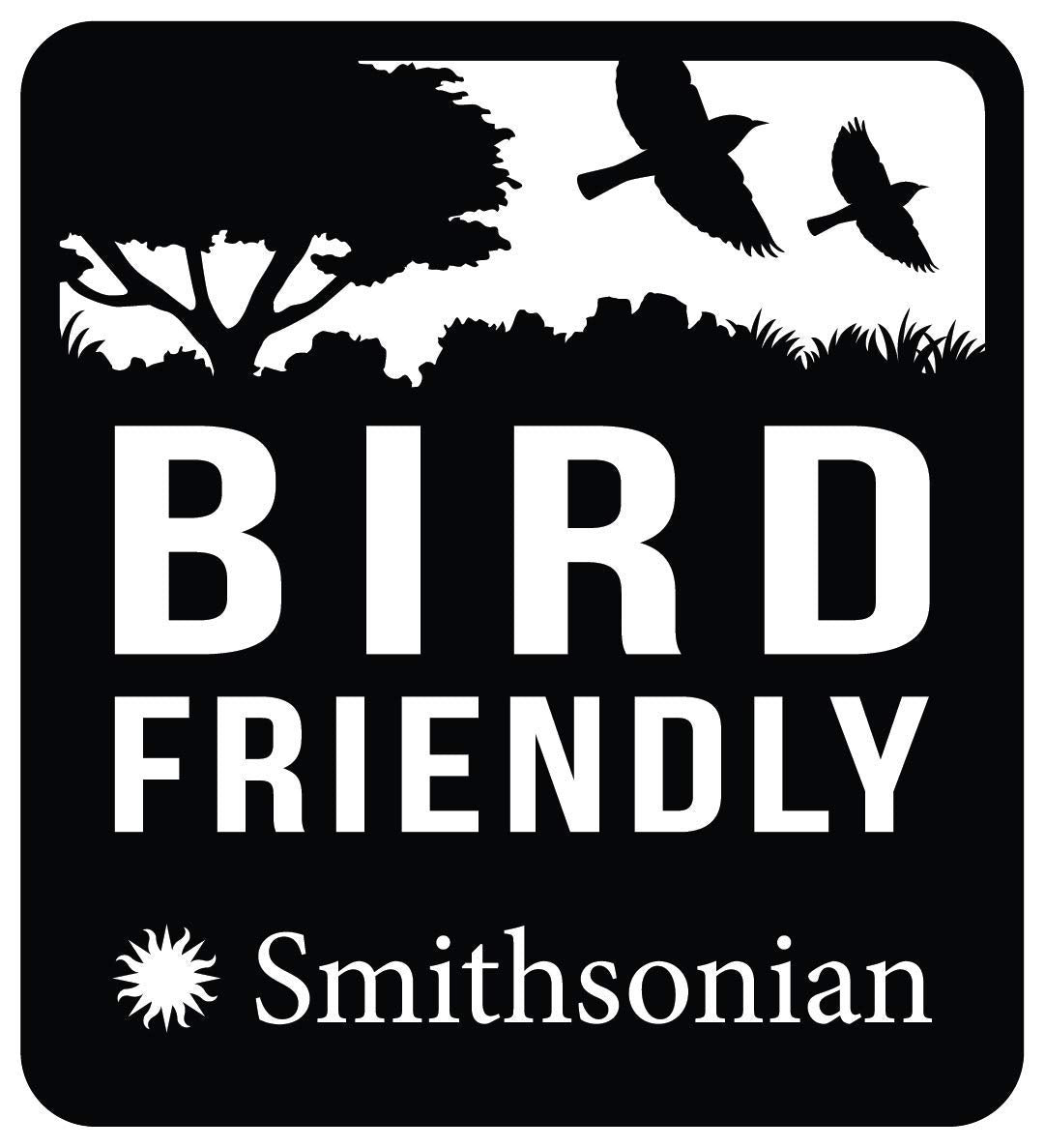Kenmerkende espressomix, Fairtrade, hele bonenkoffie, biologisch, in de schaduw gekweekt, beschermd tegen vogels, nettogewicht 200 g